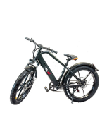 Bicicleta electrica RDB XR6 putere 250W viteza 25km/h autonomie 45km fara permis