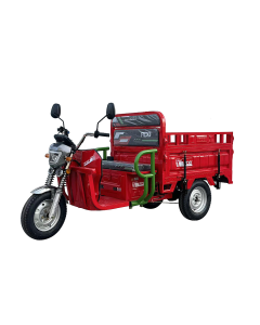 Triciclu electric RDB X-Klass4 PLUS 3500W fara permis 25 km/h