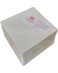 Placi filtrante CKP V20 20x20 cm 0.7 μm set 25 buc