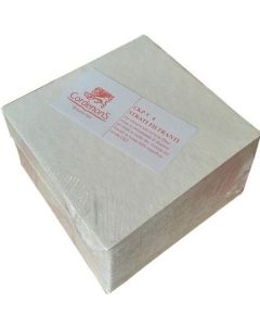 Placi filtrante CKP V4 20x20 cm 15 μm set 25 buc