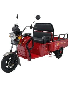 Tricicleta electrica Geeli Ecopikap Master putere 2500 W 72V 32 AH viteza 25 km/h autonomie 45 km fara permis