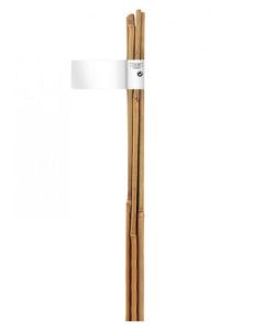 Tutor din bambus diametru 6-8 MM, lung 0.6 M (6 buc = 1 set)
