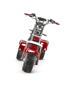 Tricicleta electrica CityCoco Harley RDB TX-08-4 E1 motor 4000W viteza 25km/h autonomie 45km fara permis