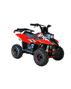 ATV RDB FXATV-SA putere 5.2 kW benzina viteza 45km/h pentru copii