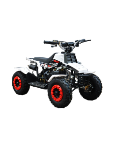 ATV RDB FXATV-SZ putere 1.52 kW benzina viteza 35km/h pentru copii