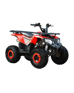ATV RDB FXATV-SV viteza 35km/h benzina pentru adulti