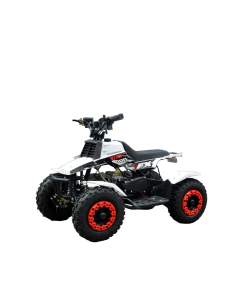 ATV RDB FXATV-ESZ motor 500W electric viteza 25 km/h pentru copii