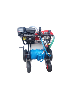 Pulverizator mobil Gardelina DVS 200 motor 7 CP Briggs & Stratton Electric Start benzina rezervor 200 L presiune 40 bar