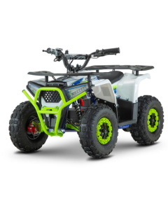 ATV de adulti RDB-FFA1000, 1000W, 48V12Ah