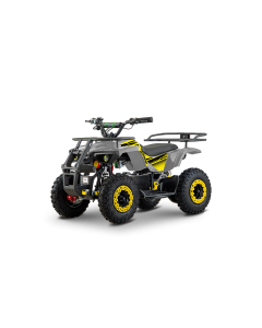 ATV de adulti RDB-FFL800, 800W, 36V12Ah