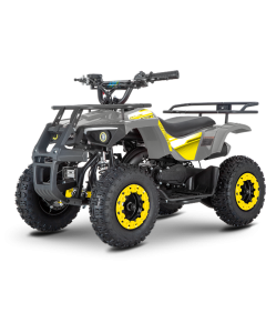ATV pentru copii RDB-AFL49 benzina viteza 25 km/h 49cc 2T